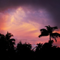 Night time in the jungle · Relaxing Sounds from The Light Garden Hawaii