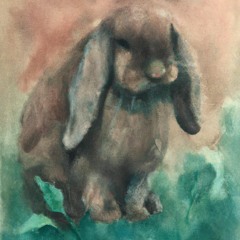 bunny.wav