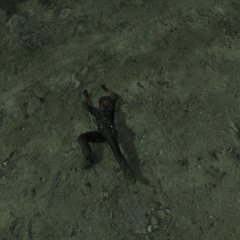 私は政府が好きではない