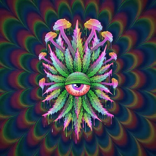 LWKY - CHILL EYES
