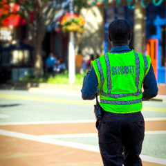 Declining Standards Of The Security & Close Protection Industry Part 2