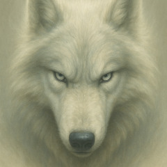 Man At The Garden Cover