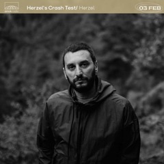 Herzel's Crash Test - Herzel (03.02.21)