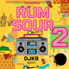 DJ K9 RUM SOUR #2 - AfroBeats & Amapiano live DJ set Mix 2025