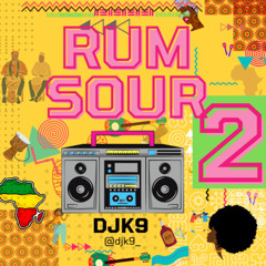 DJ K9 RUM SOUR #2 - AfroBeats & Amapiano live DJ set Mix 2025