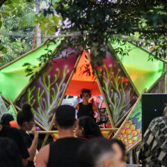Full Set - Pulse 4º Edição