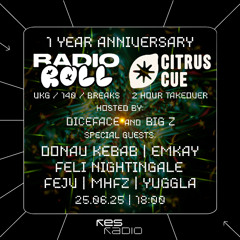 Radio Roll #5 | Special Guests (A-Z): Donau Kebab, Emkay, Fejv, Feli Nightingale, MHFZ, Yuggla