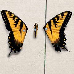 misguided ghosts // paramore // (acusticcover)