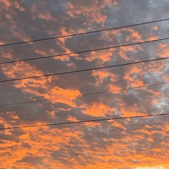 Skuta1of1 - so fresh, so clean