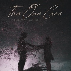 The One Cure - Lady Gaga & Lee James (DJ Griffey Mashup)