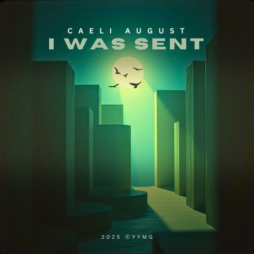 I Was Sent - (Vol. 2)