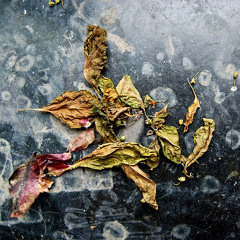 Something That You Don't Know