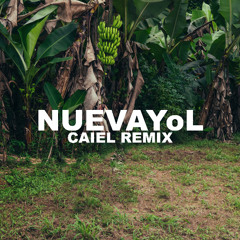 NUEVAYoL (CAIEL Remix) [HOUSE REMIX]