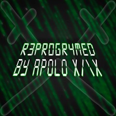 R3PR0GR4M3D by APL