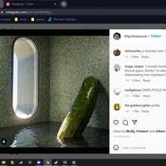 liminalpickle