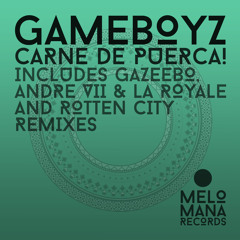 Gameboyz - Carne de Puerca (Original Mix)