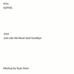ARCA X SOPHIE - JOYA / JUST LIKE WE NEVER SAID GOODBYE | MASHUP