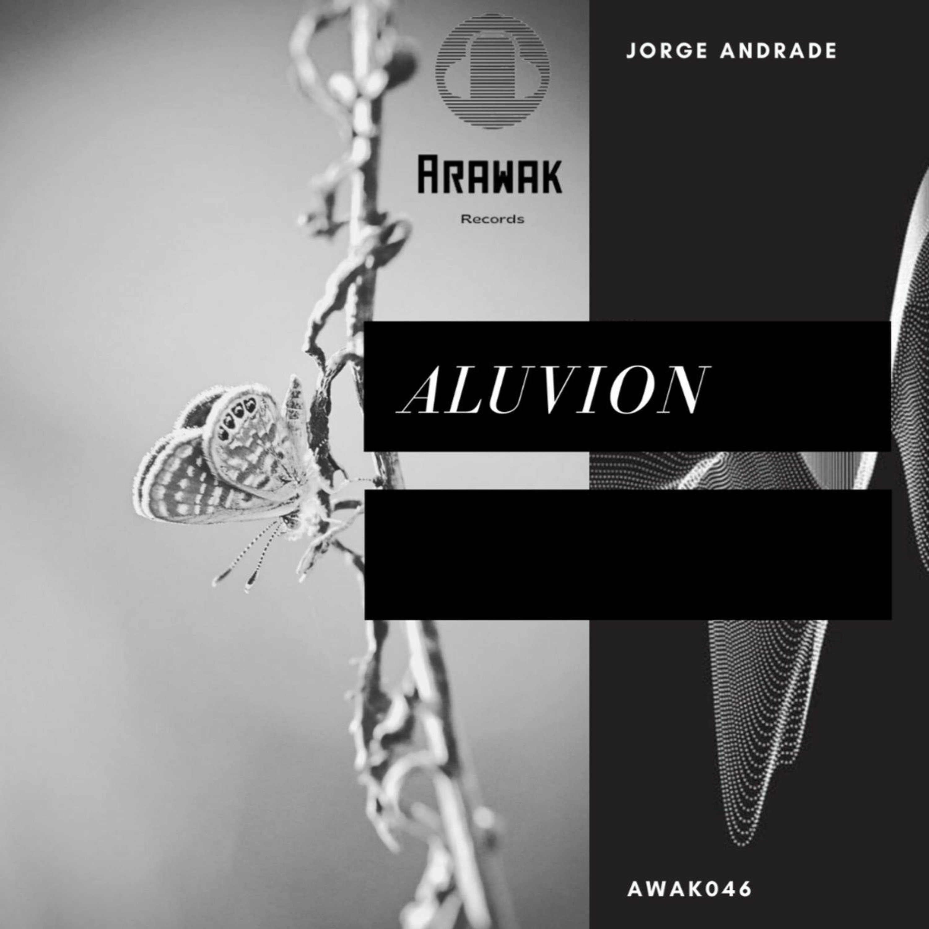 Jorge Andrade