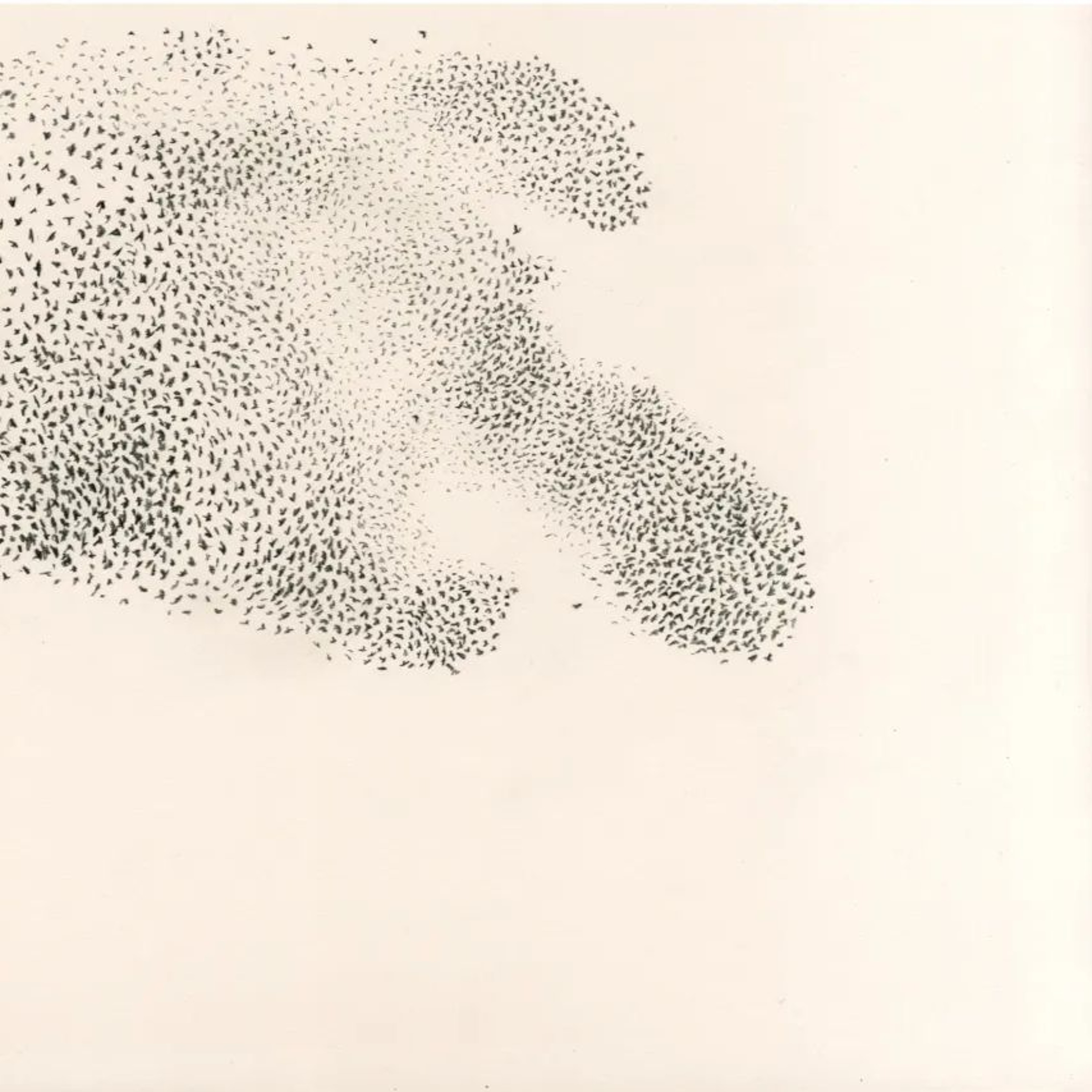 Antonin De Bemels