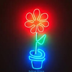 Lights On Me