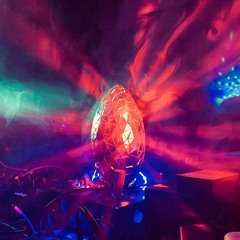 Down The Rabbithole || Bucht || Salon || WUZA || 16/02/20