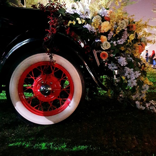 شفتا كيف بتضيق الدنيا _ تغريد العشرة