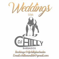 Barbados Wedding DJ Mixes With DJ Chilly