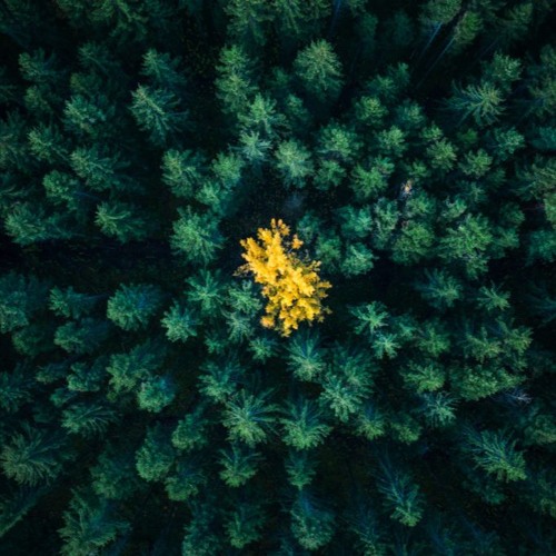 En attendant l'Inattendu