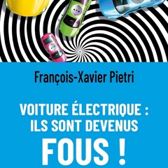 Télécharger Voiture électrique : ils sont devenus fous !  PDF - KINDLE - EPUB - MOBI - xzTyfurbCj