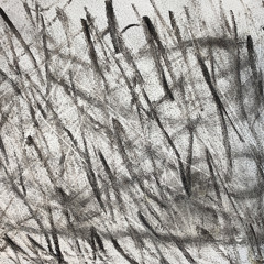 ashes