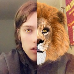 Janis Rollbühler - Besser Wird  (mastered)