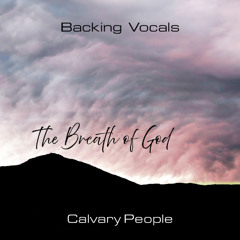When I Survey - Backing Vocals