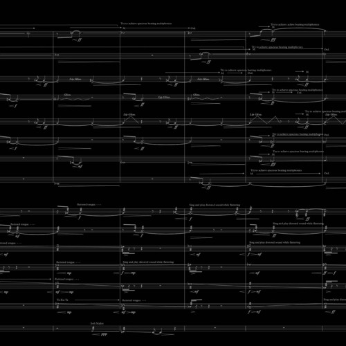 De Novo Remutations (for orchestra & electronics) | 2019