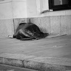 Homeless One (Sleeping On The Street) - Francis Frazier 1954