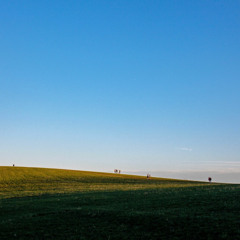 See You From Afar (Short Demo)