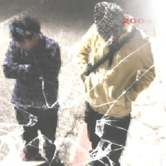 respect my dream ft peamillss (prod.joexsol)