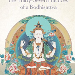 [VIEW] EBOOK ☑️ Illuminating the Thirty-Seven Practices of a Bodhisattva by  Chokyi D