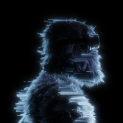 My Identity