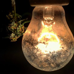 Untitled Mix Down - 22222 - NO C Q HACER Xy. Mix Music 2017". Mp3