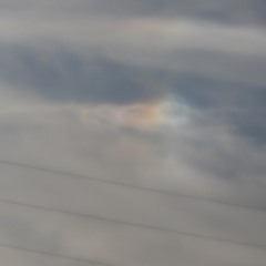 Rainbow Angel Baby
