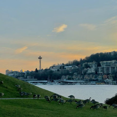 GASWORKS SUNSET SET