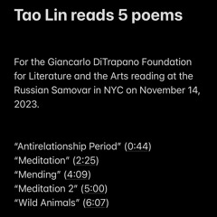 Tao Lin reading 5 poems at the Russian Samovar [11.14.23]