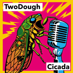 Cicada