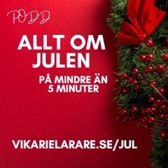 Allt Om Julen - Tomten