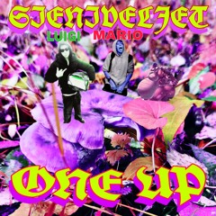 1UP - SIENIVELJET MARIO & LUIGI