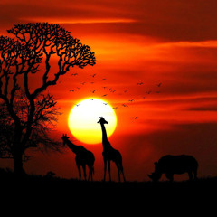 AFRICA THE LAND OF THE SUNSHINE