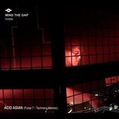 Acid Asian @ MIND THE GAP Hosts Pulse - T (Oct 2021)