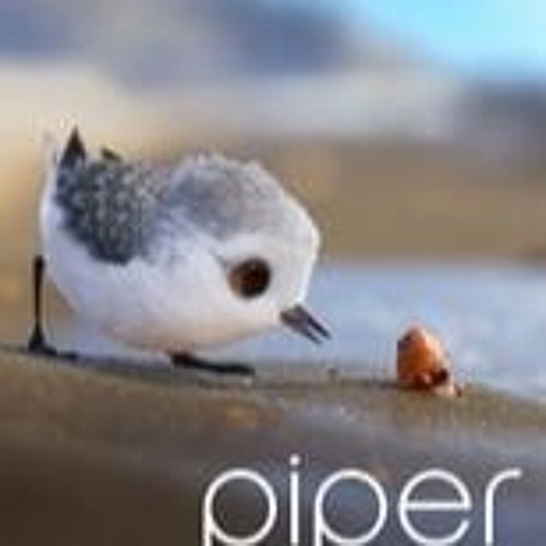 Piper short film online hotsell