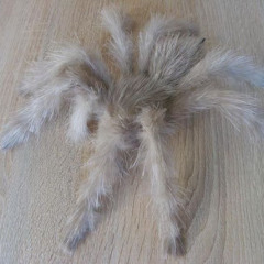 it could've healed vanda remix @vanda100 ??? bpm 140hz 4/4 ႡႤႼႥႨႠႬႨ ႭႡႭႡႠ ჀႠ ჀႠ ჀႠ