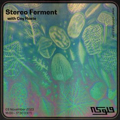 Stereo Ferment with Coy Haste - 03/11/2023